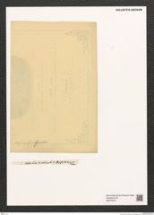 Diatomeae indet. Zeichnungen Sammlung Grunow (NHMW-BOT-W0375370)